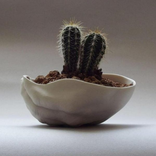 Drinkware | Hand Crafted Ceramic Hand Succulent Planter Pot Drinkware Drinkware