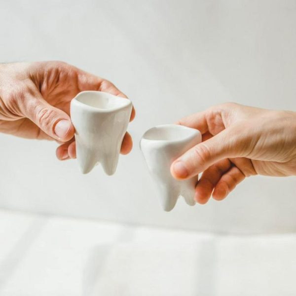 Drinkware | Hand Crafted Porcelain Dental Shot Glass Drinkware Drinkware