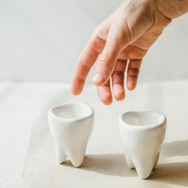 Drinkware | Hand Crafted Porcelain Dental Shot Glass Drinkware Drinkware