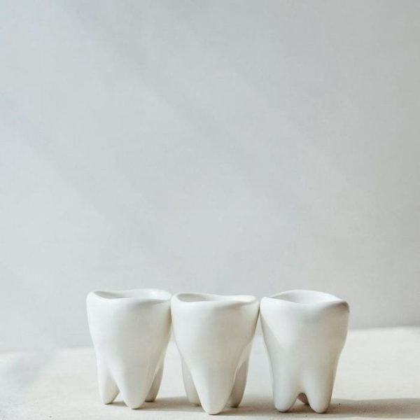 Drinkware | Hand Crafted Porcelain Dental Shot Glass Drinkware Drinkware