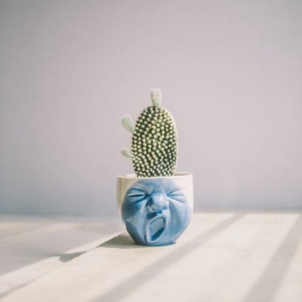 Drinkware | Yawning Face Porcelain Cactus Planter Drinkware Drinkware