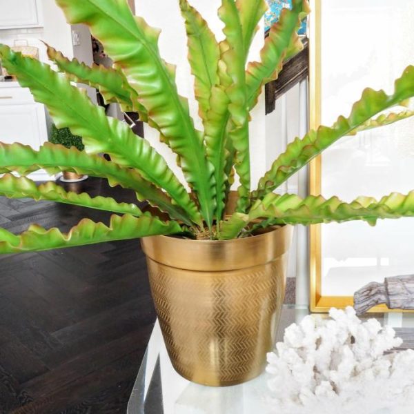 Flora & Plants | Artificial Agave Plant Decor Flora & Plants