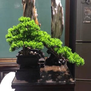 Flora & Plants | Artificial Bonsai Arrangement With Real Tree Trunk In Black Pot Decor Flora & Plants