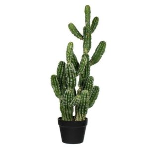 Flora & Plants | Artificial Cactus Plant In Pot Decor Flora & Plants