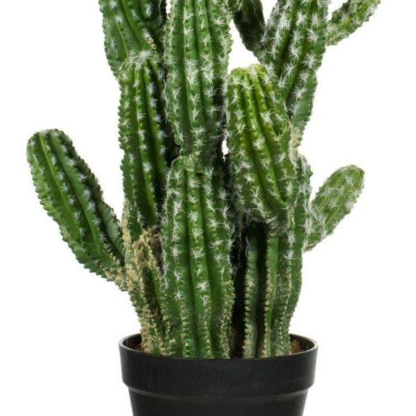 Flora & Plants | Artificial Cactus Plant In Pot Decor Flora & Plants