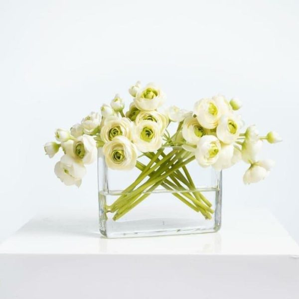 Flora & Plants | Cream & Green Mini Ranunculus Centerpiece In Glass Vase Decor Flora & Plants