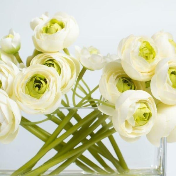 Flora & Plants | Cream & Green Mini Ranunculus Centerpiece In Glass Vase Decor Flora & Plants