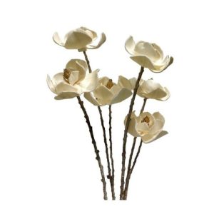 Flora & Plants | Dogwood Branch Magnolia Stem Decor Flora & Plants