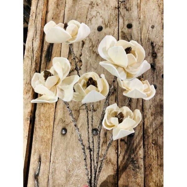 Flora & Plants | Dogwood Branch Magnolia Stem Decor Flora & Plants