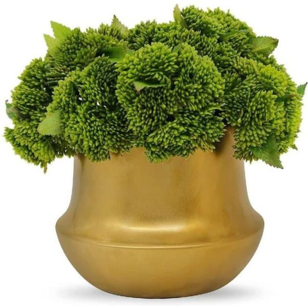 Flora & Plants | Faux Orin Clay Pot Planter Decor Flora & Plants