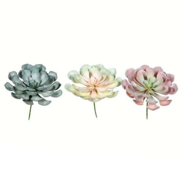 Flora & Plants | Faux Peperomia Succulent – Set Of 3 Decor Flora & Plants