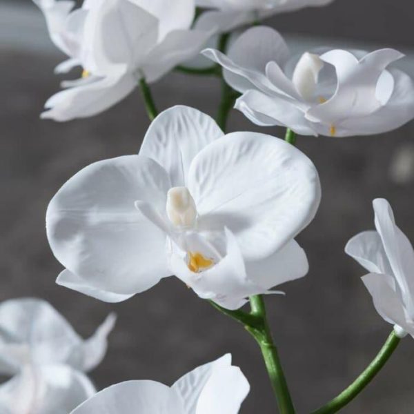 Flora & Plants | Faux White Orchid Floral Centerpiece In Marbled Pot Decor Flora & Plants