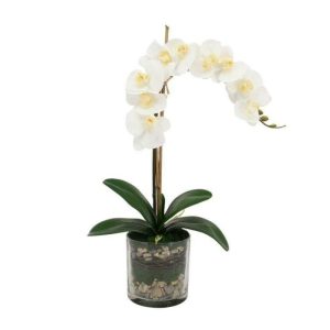 Flora & Plants | Faux White Phalaenopsis Orchid Arrangement In Glass Vase Decor Flora & Plants