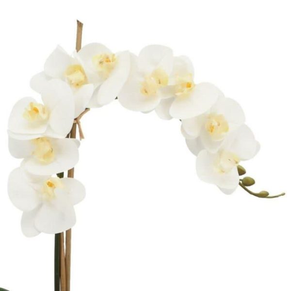 Flora & Plants | Faux White Phalaenopsis Orchid Arrangement In Glass Vase Decor Flora & Plants