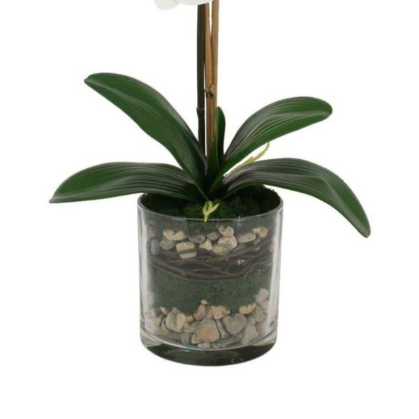 Flora & Plants | Faux White Phalaenopsis Orchid Arrangement In Glass Vase Decor Flora & Plants