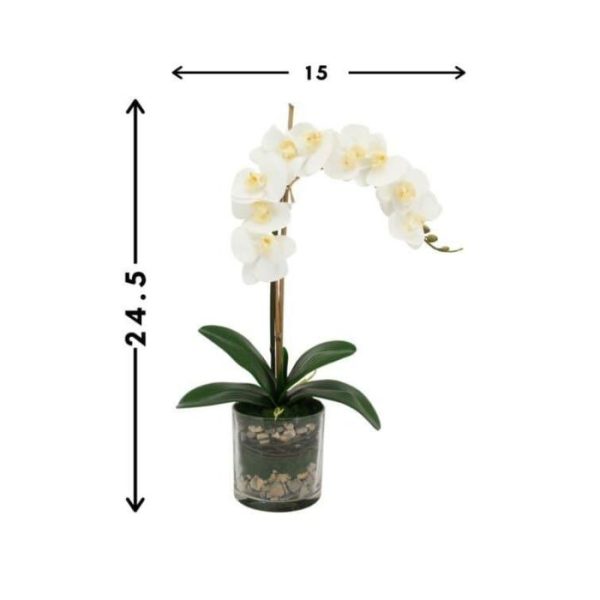 Flora & Plants | Faux White Phalaenopsis Orchid Arrangement In Glass Vase Decor Flora & Plants