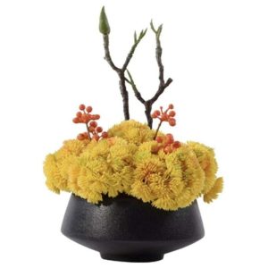 Flora & Plants | Yellow Sea Moss Flowers In Ceramic Pot Decor Flora & Plants