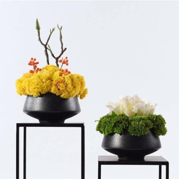 Flora & Plants | Yellow Sea Moss Flowers In Ceramic Pot Decor Flora & Plants