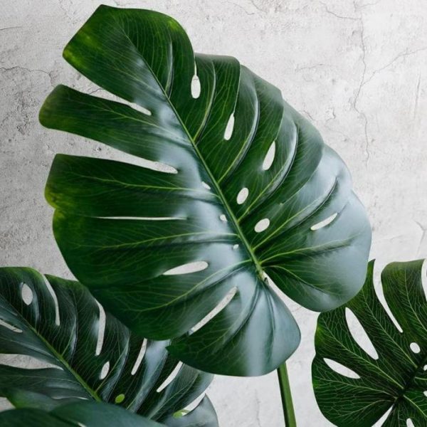 Flora & Plants | Artificial Monstera Deliciosa Tree 47" Decor Flora & Plants