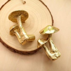 Hardware | Brass Mushroom Cabinet Door Knob Decor Hardware