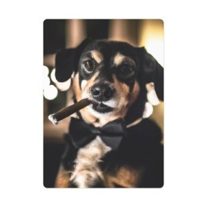 Lifestyle | Cigar Dog Poker Cards, 2.5" x 3.7" Home Decoration Lifestyle