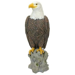 Outdoor | Majestic Mountain Eagle Garden Statue Home Decoration Outdoor