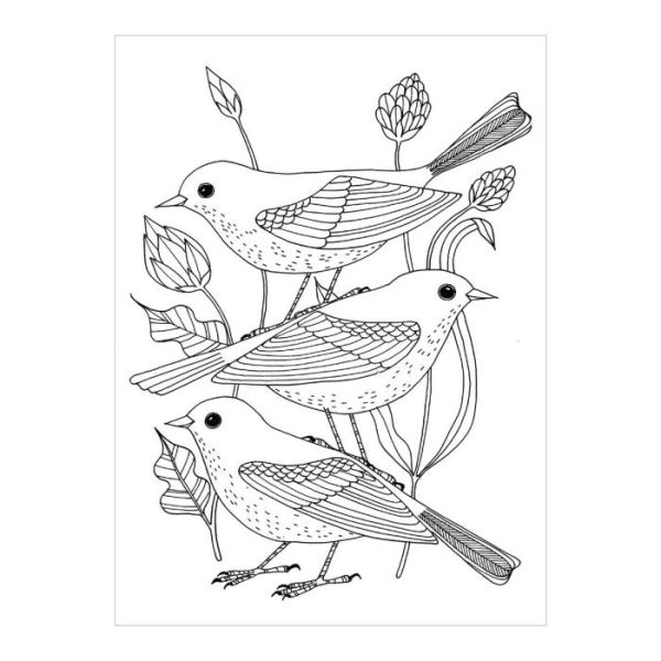 Stationery | Avian Friends Coloring Postcard Book Home Decoration Stationery