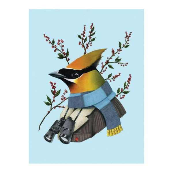 Stationery | Berkley Bestiary Winter Waxwing Large Embellished Notecards Home Decoration Stationery