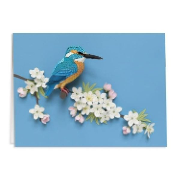 Stationery | Birds Of The World Greeting Assortment Notecard Set Home Decoration Stationery