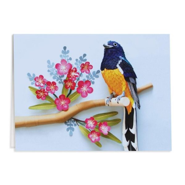 Stationery | Birds Of The World Greeting Assortment Notecard Set Home Decoration Stationery