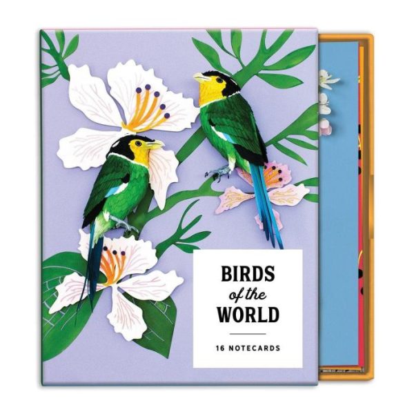 Stationery | Birds Of The World Greeting Assortment Notecard Set Home Decoration Stationery