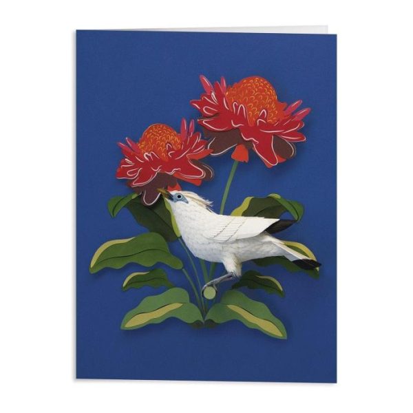 Stationery | Birds Of The World Greeting Assortment Notecard Set Home Decoration Stationery