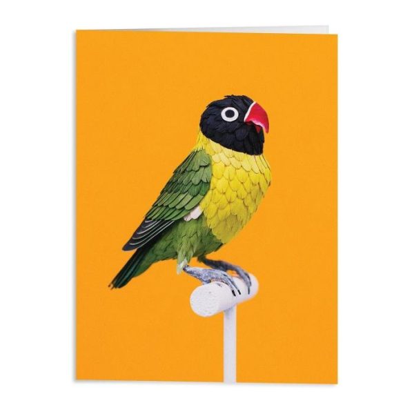 Stationery | Birds Of The World Greeting Assortment Notecard Set Home Decoration Stationery