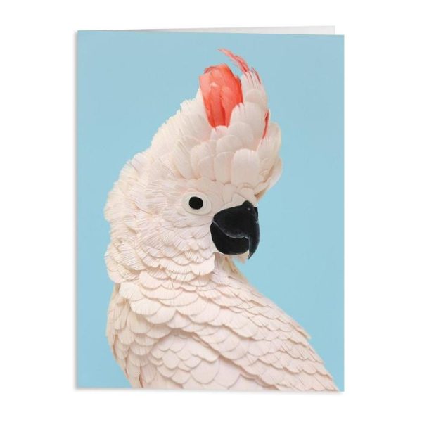 Stationery | Birds Of The World Greeting Assortment Notecard Set Home Decoration Stationery