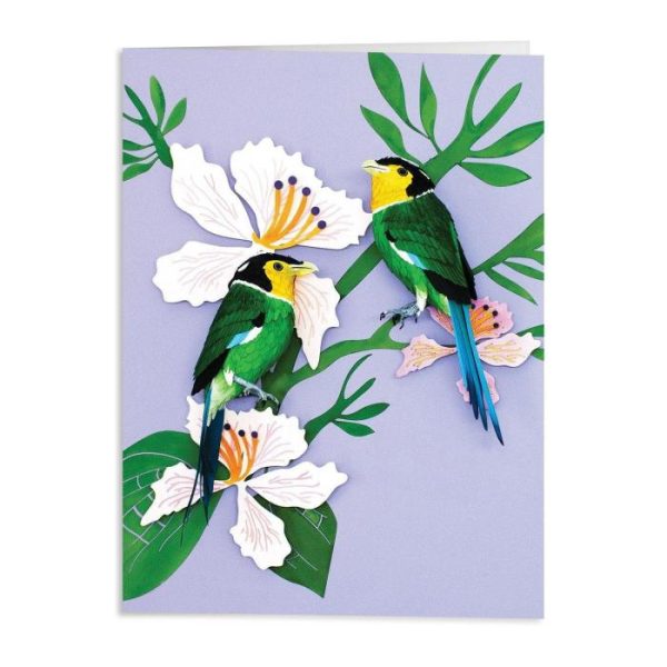 Stationery | Birds Of The World Greeting Assortment Notecard Set Home Decoration Stationery