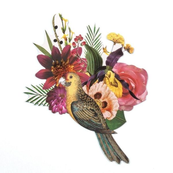 Stationery | Christian Lacroix Birds Sinfonia Shaped Notecard Set Home Decoration Stationery