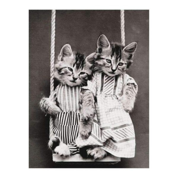 Stationery | Classic Vintage Cat Memes Diy Greeting Card Folio Home Decoration Stationery