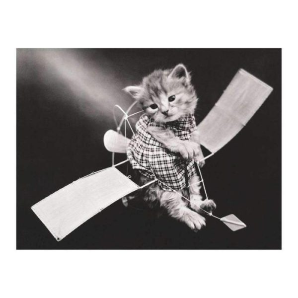 Stationery | Classic Vintage Cat Memes Diy Greeting Card Folio Home Decoration Stationery