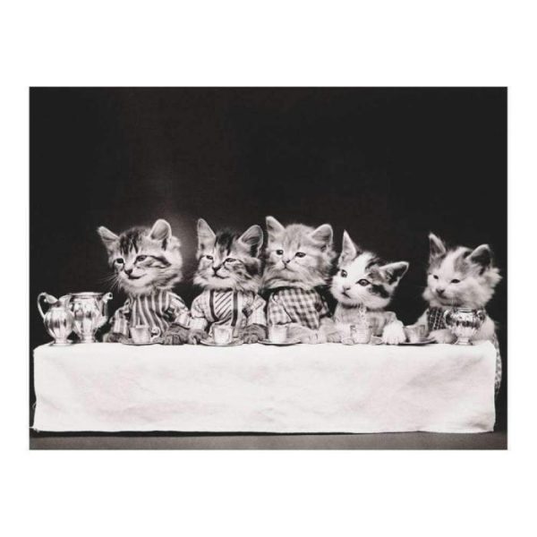 Stationery | Classic Vintage Cat Memes Diy Greeting Card Folio Home Decoration Stationery