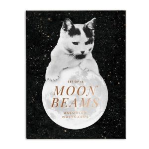 Stationery | Moonbeams Greeting Card Assortment Home Decoration Stationery