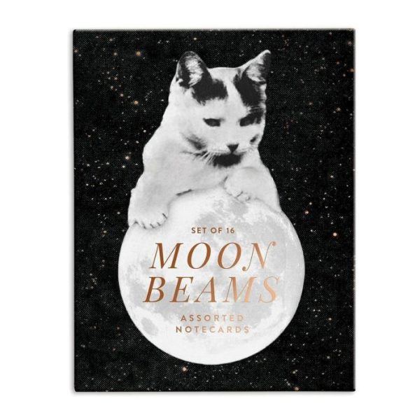 Stationery | Moonbeams Greeting Card Assortment Home Decoration Stationery