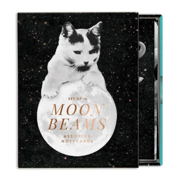 Stationery | Moonbeams Greeting Card Assortment Home Decoration Stationery