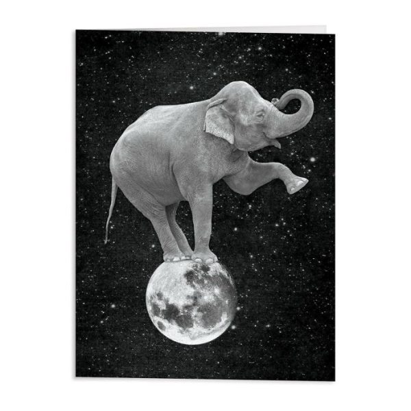 Stationery | Moonbeams Greeting Card Assortment Home Decoration Stationery