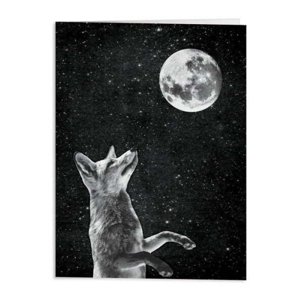 Stationery | Moonbeams Greeting Card Assortment Home Decoration Stationery