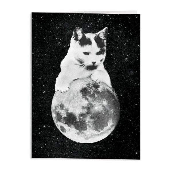 Stationery | Moonbeams Greeting Card Assortment Home Decoration Stationery