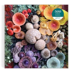 Stationery | Shrooms In Bloom 500 Piece Puzzle Home Decoration Stationery