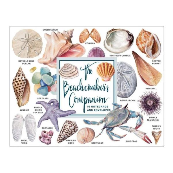 Stationery | The Beachcomber’s Companion Greeting Assortment Notecards Home Decoration Stationery