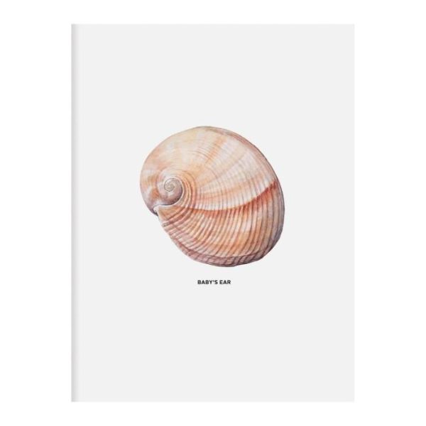 Stationery | The Beachcomber’s Companion Greeting Assortment Notecards Home Decoration Stationery