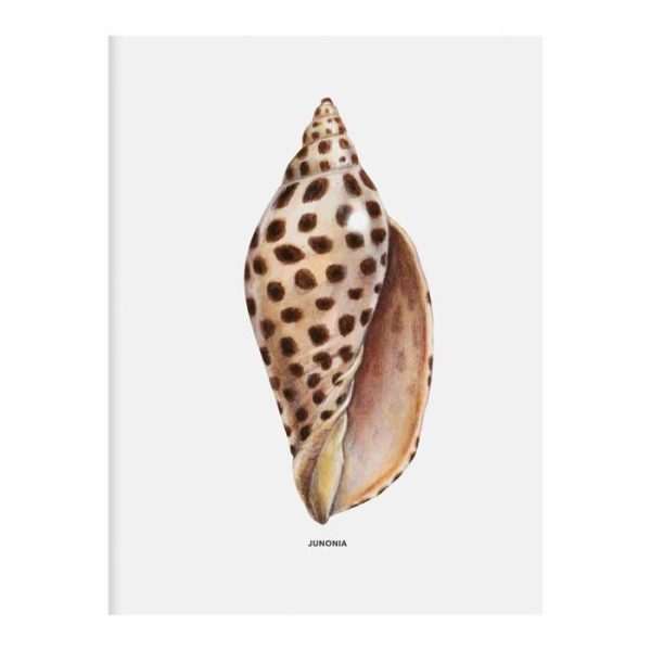 Stationery | The Beachcomber’s Companion Greeting Assortment Notecards Home Decoration Stationery