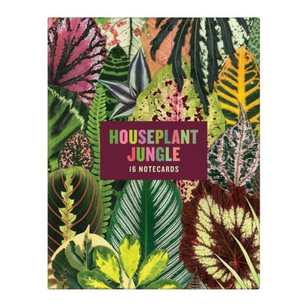 Stationery | Troy Litten Houseplant Jungle Greeting Assortment Notecards Home Decoration Stationery